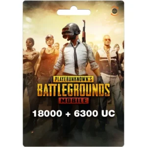 PUBG Gift Card United States Region – USD (Email Delivery) - 24300-uc